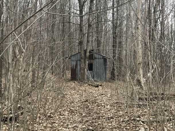 Abandoned hunting shack Southwestern Ontario
