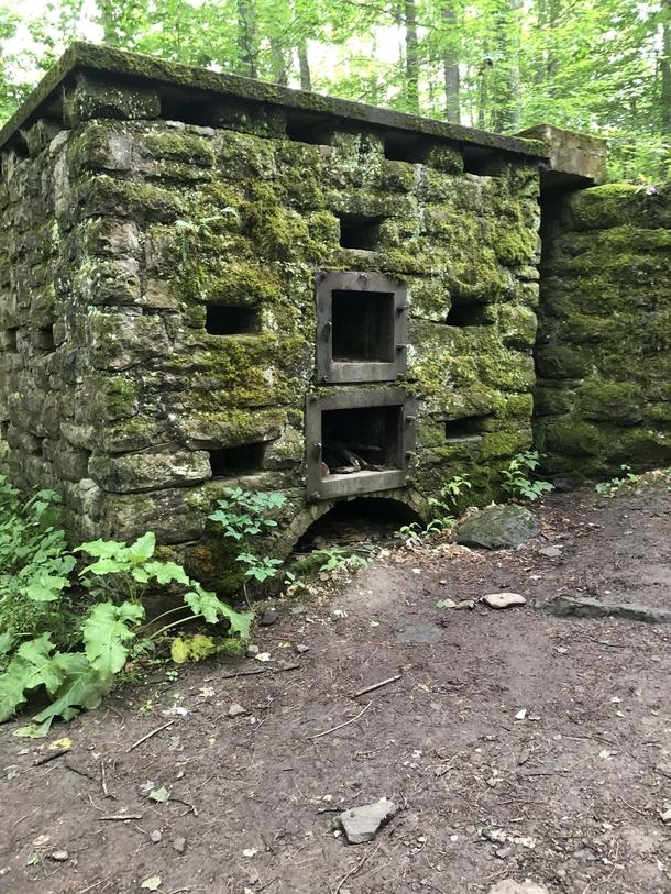 Abandoned incinerators in the Alleghenys