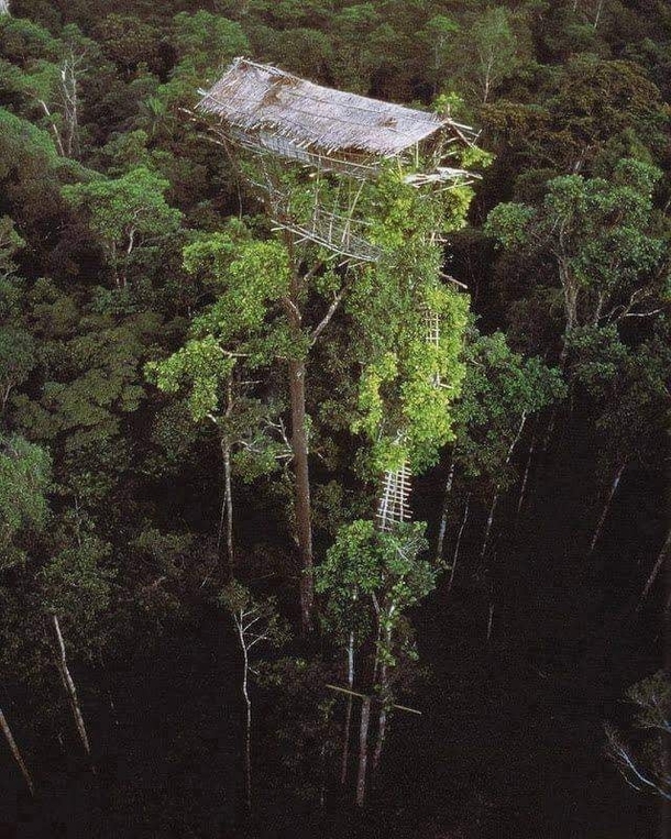 Abandoned indigenous house in Papua New Guinea
