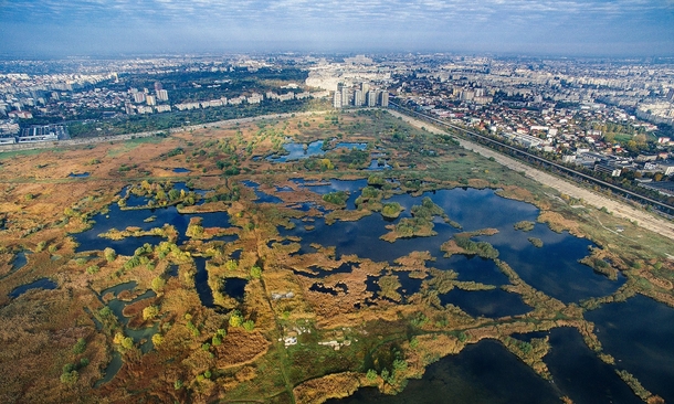 Abandoned industrial site in Bucharest that transformed into a nature reserve 