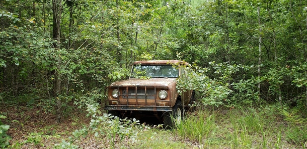 Abandoned International Scout in East Texas