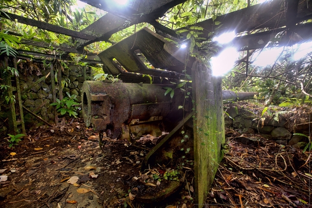 Abandoned Japanese artillery found in the Jungle of Micronesia left over from WW Photo by Jezsik 