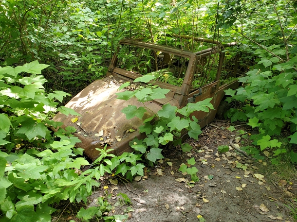 Abandoned Jeep in the forest Squamish BC
