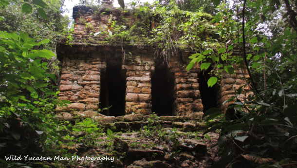 Abandoned Maya temple in the Lacandon Rainforest 