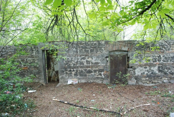 Abandoned Mental Asylum Yard Doors 