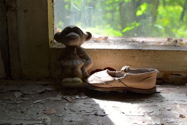 Abandoned monkey in Chernobyl