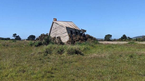 Abandoned near Kelso Tasmania nature is slowly pushing this tiny house out of the way