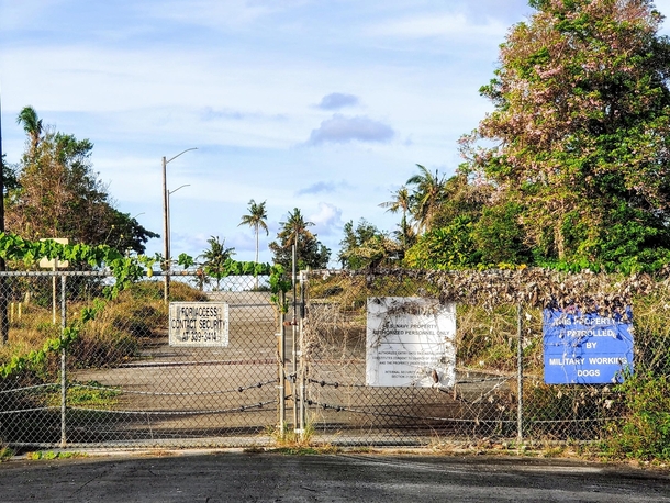 Abandoned Officer Housing of US Naval Base Guam Military working dogs must hide well 