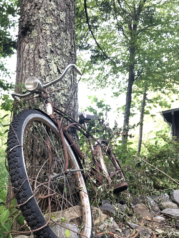 Abandoned old bicycle outside an isolated old mountain house