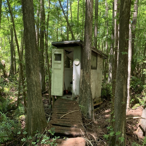 Abandoned outhouse in Fakahatchee Strand in Florida
