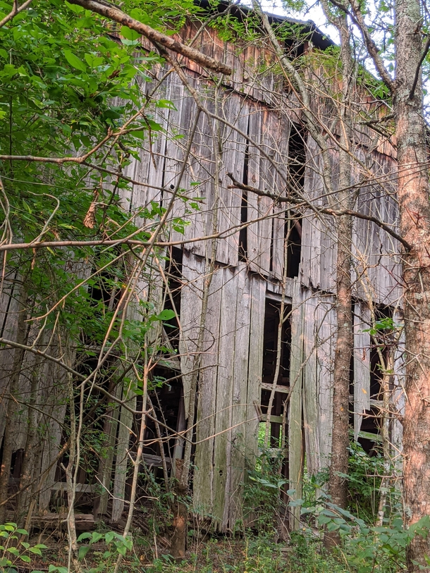 Abandoned Overgrown Barn on public hunting land in Kentucky