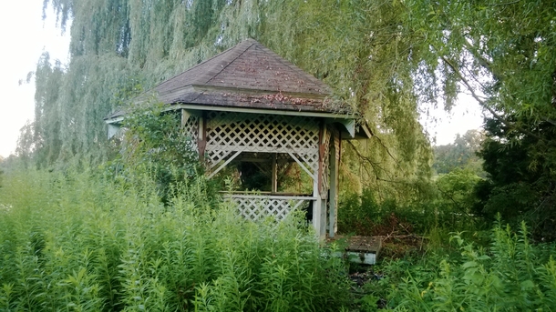 Abandoned overgrown gazebo on a lake island - rural area in Michigan