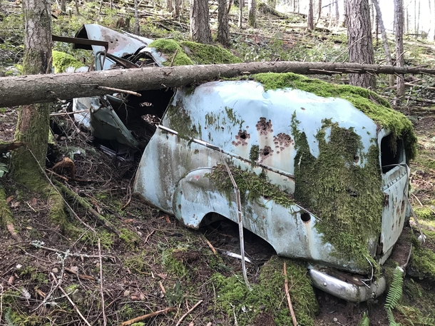 Abandoned panel van in the woods Vancouver Island BC
