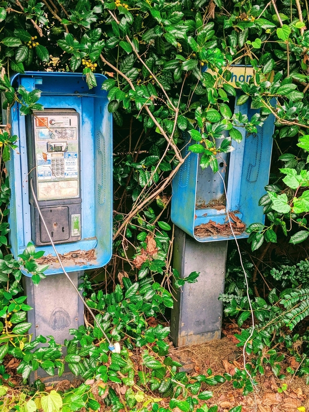 Abandoned pay phones in Waxhaw NC