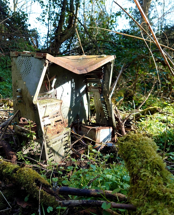 Abandoned PC in the woods