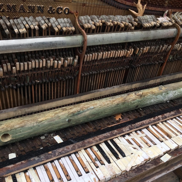 Abandoned piano Albany NY