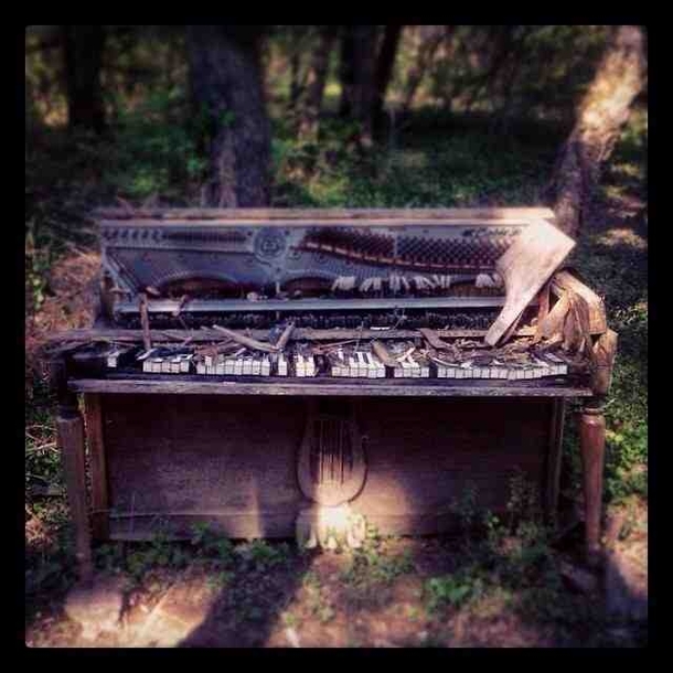 Abandoned piano in the Tennessee woods 