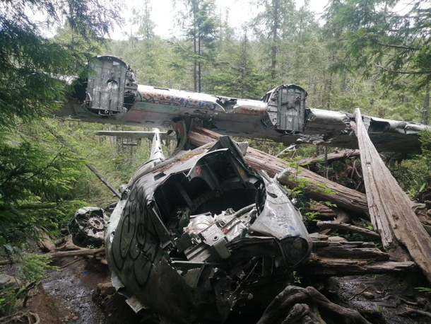 Abandoned plane wreck