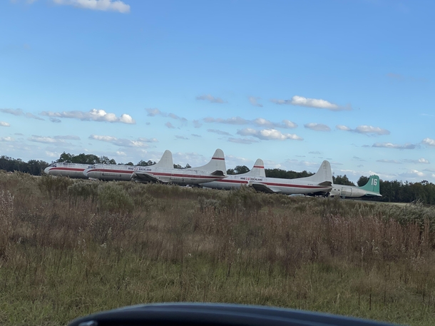 Abandoned planes on the way to the firm racetrack in Starke FL