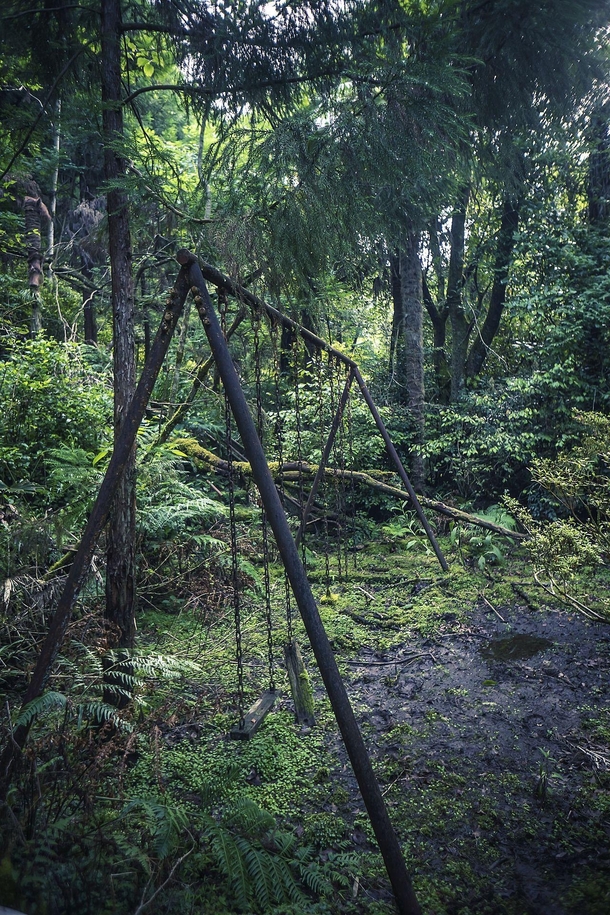 Abandoned playground in the forest