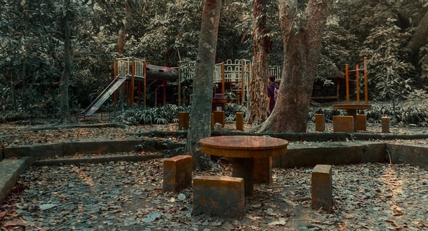Abandoned playground in the woods