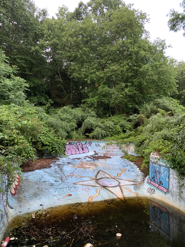 Abandoned Pool