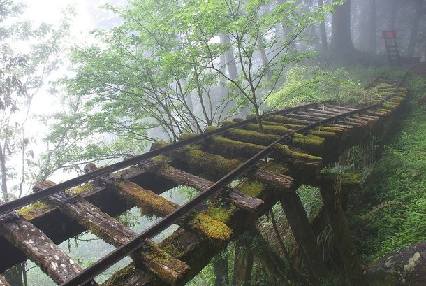 Abandoned Rail Bridge Taiwan 
