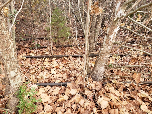 Abandoned railroad tracks in southeastern Kentucky