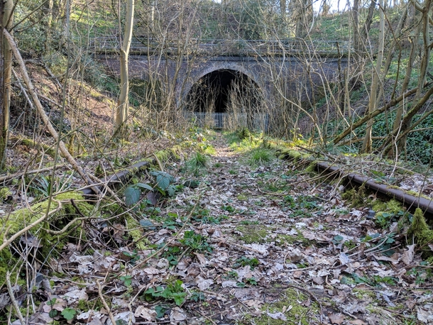 Abandoned Rails into a forgotten Tunnel