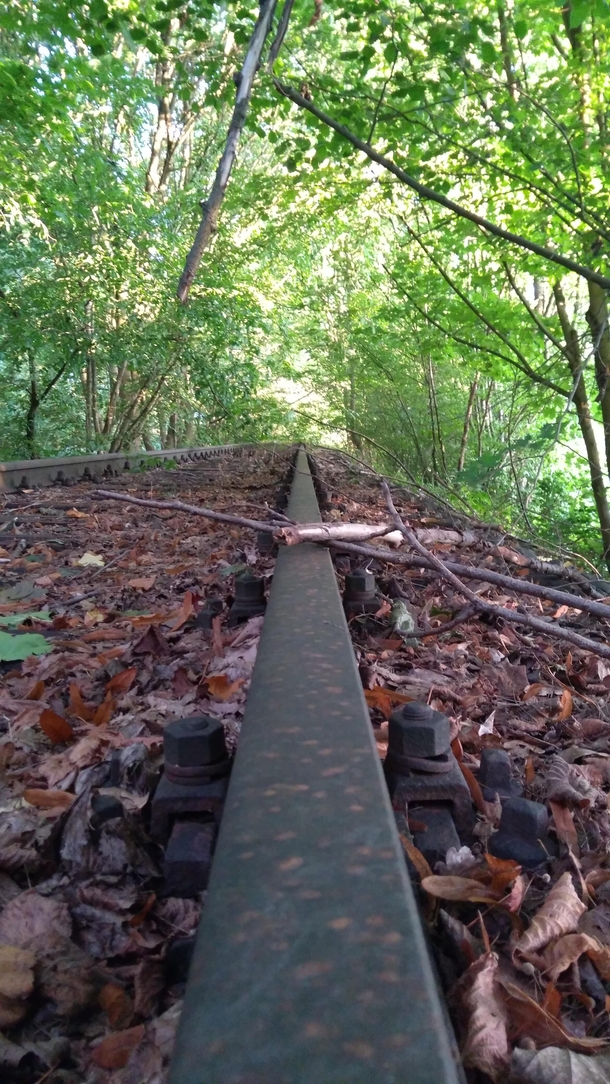 Abandoned railway at Wald nrdlich Siegburg