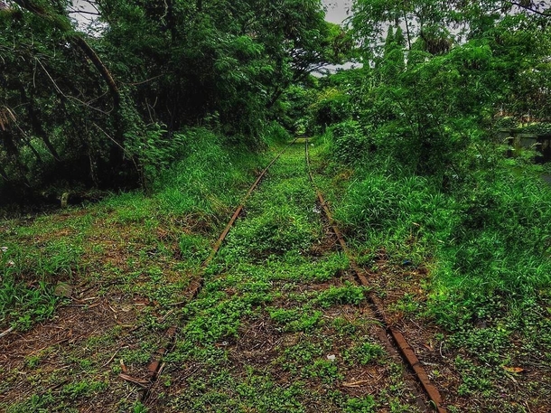 Abandoned railway track in India
