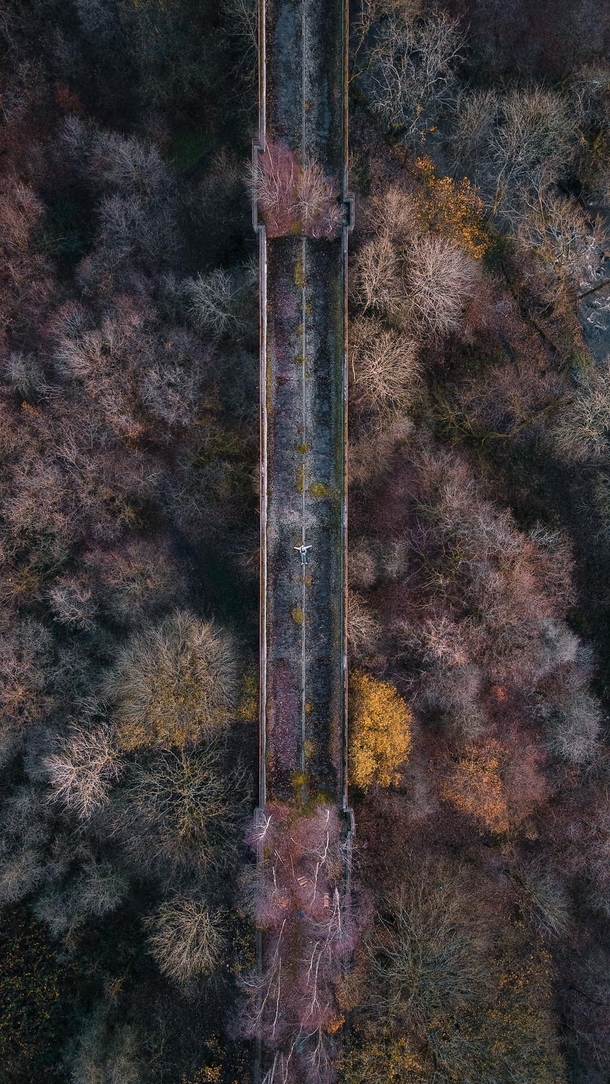 Abandoned Railway Viaduct 