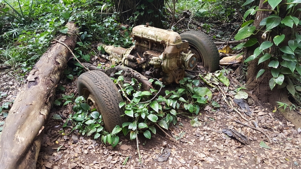 Abandoned remnants of a vehicle in Hawaii 