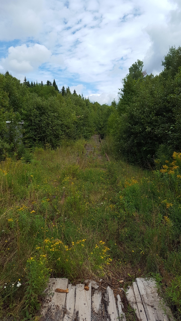 Abandoned right of way to the Potash Mines of Sussex NB