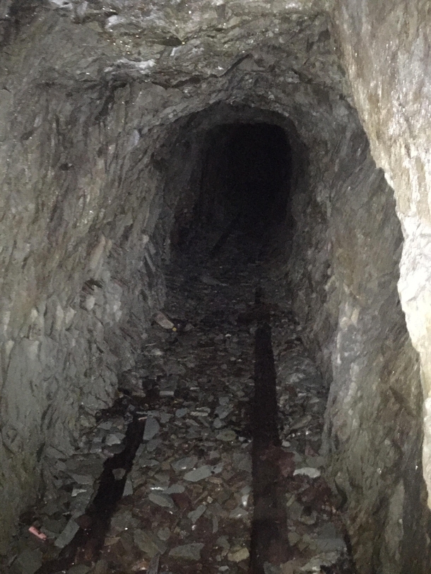 Abandoned s Mine Tunnel Random Island Newfoundland