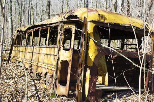 Abandoned school bus in a nearby forest 