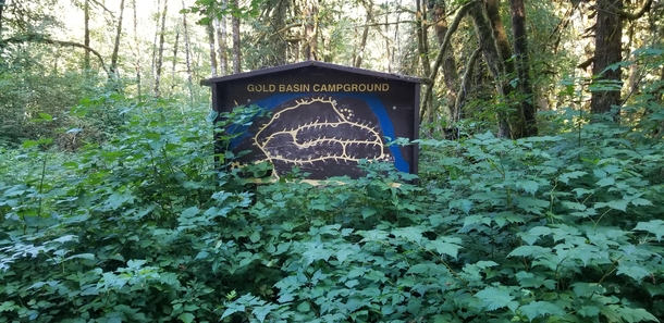 Abandoned section of a campground in Washington State