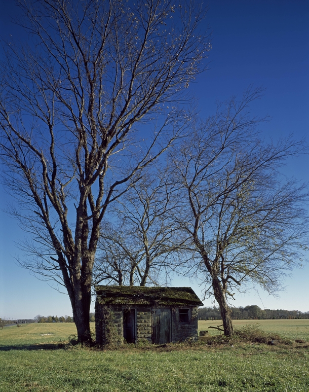 Abandoned shack in rural North Carolina ca  by Carol M Highsmith 