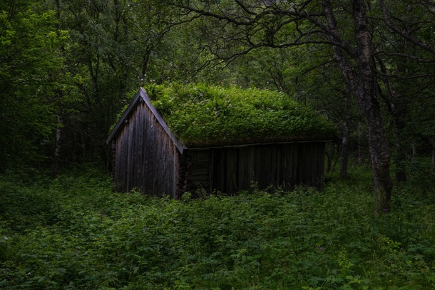 Abandoned shed in the Norwegian forest 