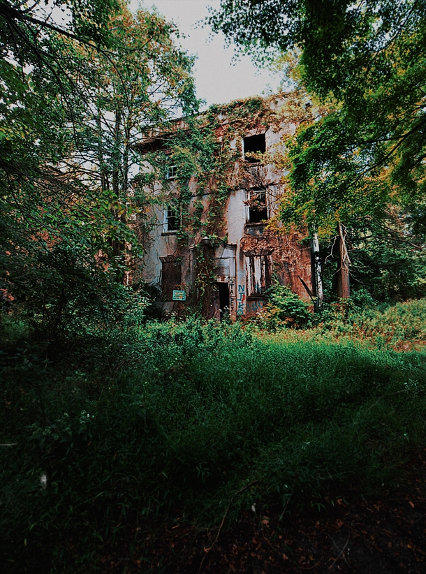 Abandoned shell of a hotel that never opened in the middle of an overgrown road