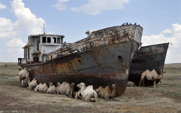 Abandoned ships in Kazakhstans Aral Sea are still very useful 