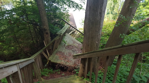 Abandoned staircase that has been mangled by nature 