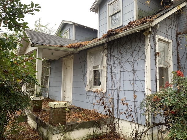 Abandoned suburban houses are weirdly compelling