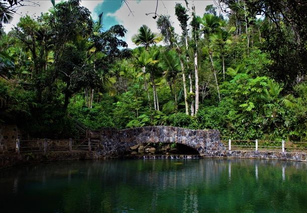 Abandoned swimming pool in the El Yunque National Forest Puerto Rico