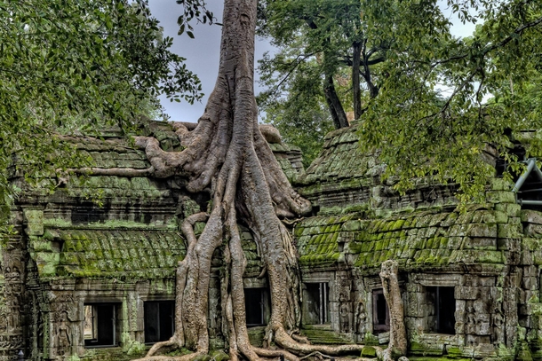 Abandoned Temple in Cambodia