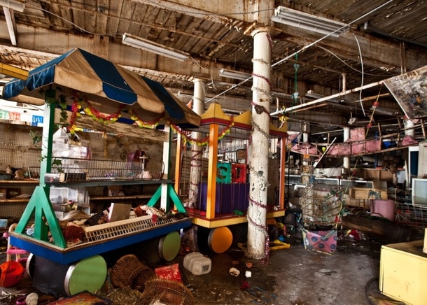Abandoned toy store The Toy Loft 