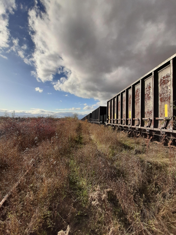 Abandoned train sitting on an unused line  windsor NS 