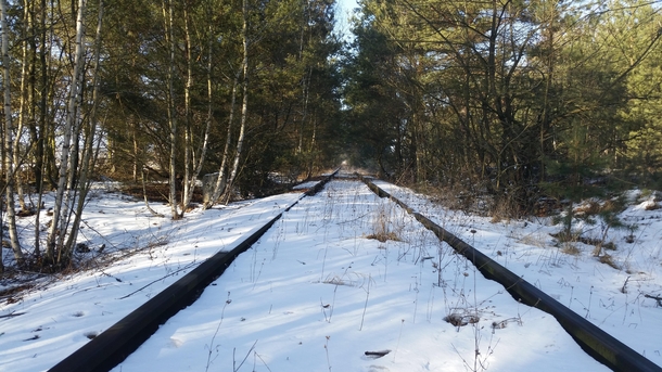 Abandoned train tracks leading to former Soviet military base