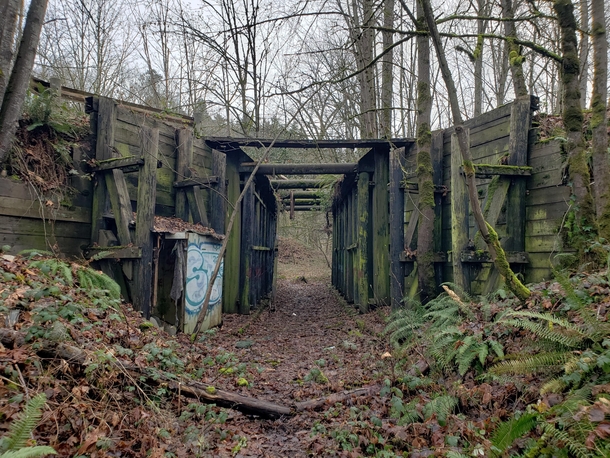 Abandoned trestle near Kent WA OC--x