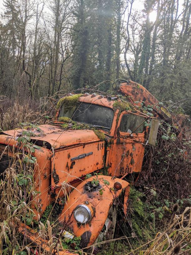 Abandoned truck in a field in Washington